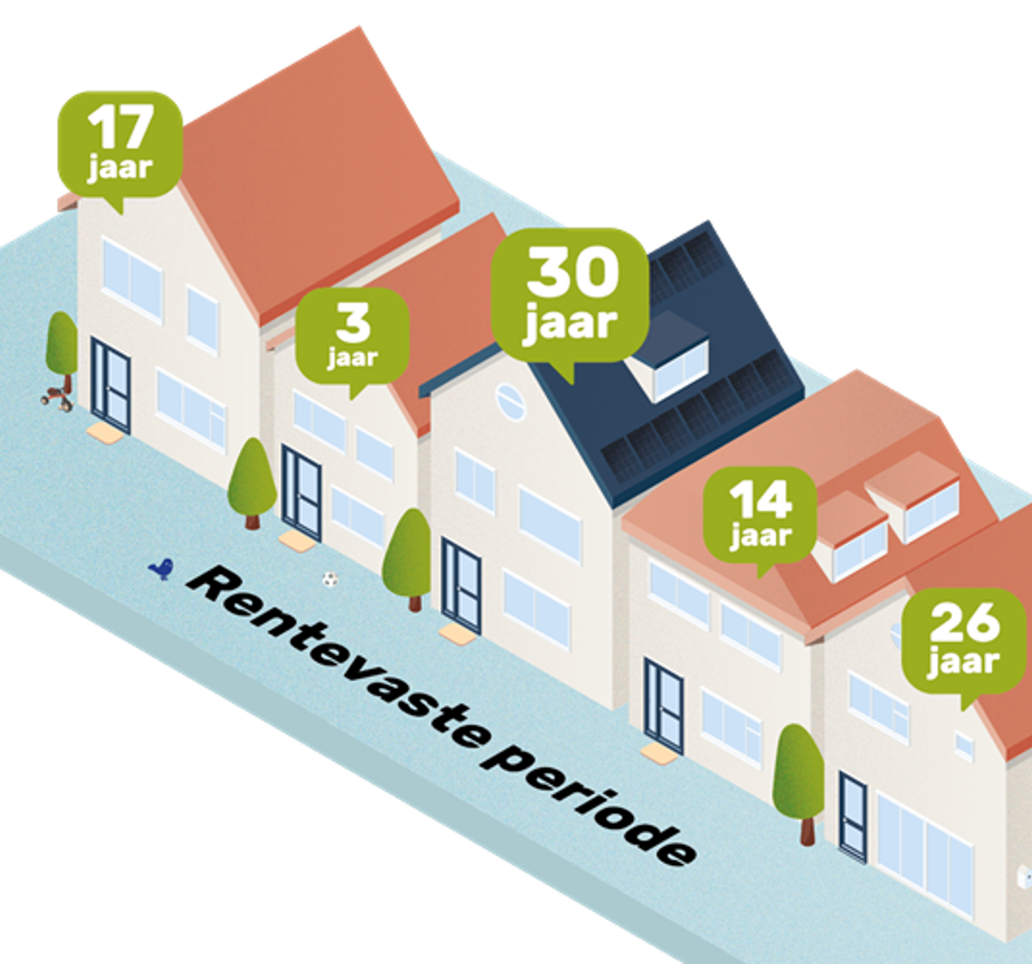 Alle rentevaste periodes tussen 1 en 30 jaar